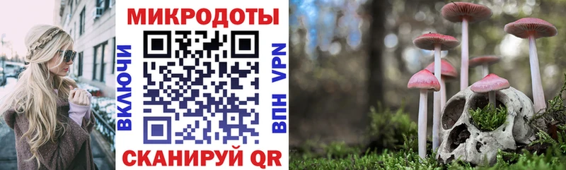 цена   Полярный  MEGA как зайти  Галлюциногенные грибы ЛСД 