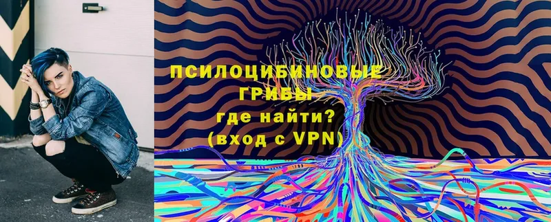 Псилоцибиновые грибы прущие грибы  наркотики  МЕГА онион  shop какой сайт  Полярный 